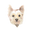 Inicio logo